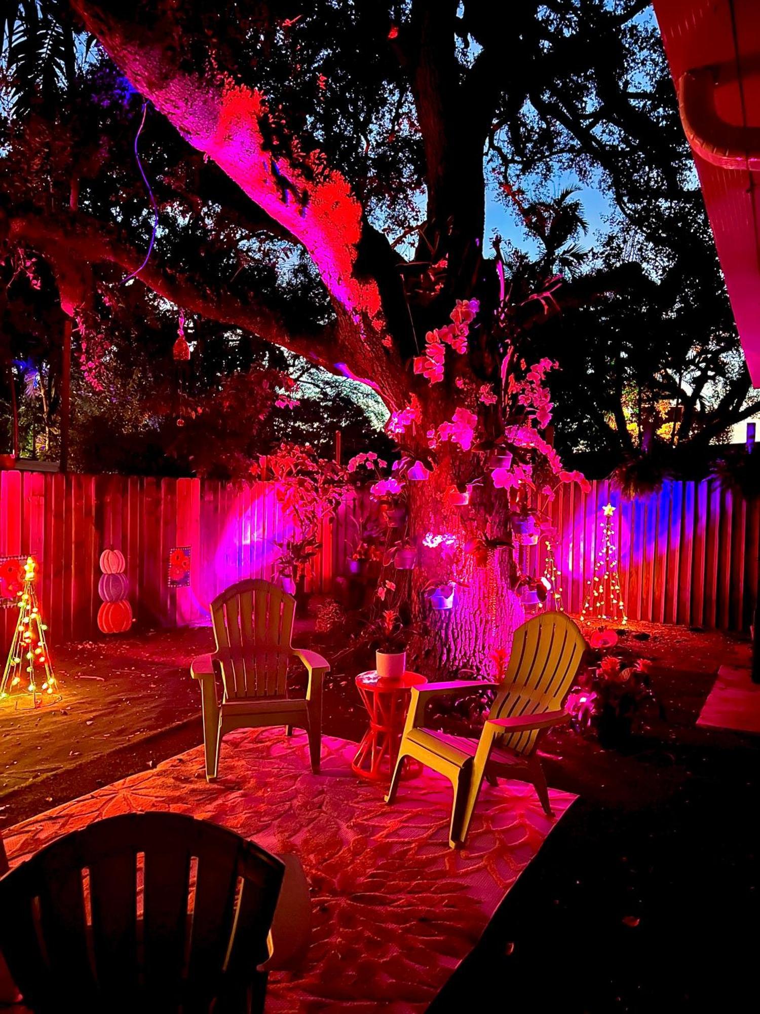 Private Guest House Miami Bagian luar foto